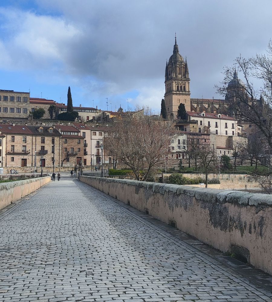Roman bridge over the Tormes river with Salamanca old town in the background
