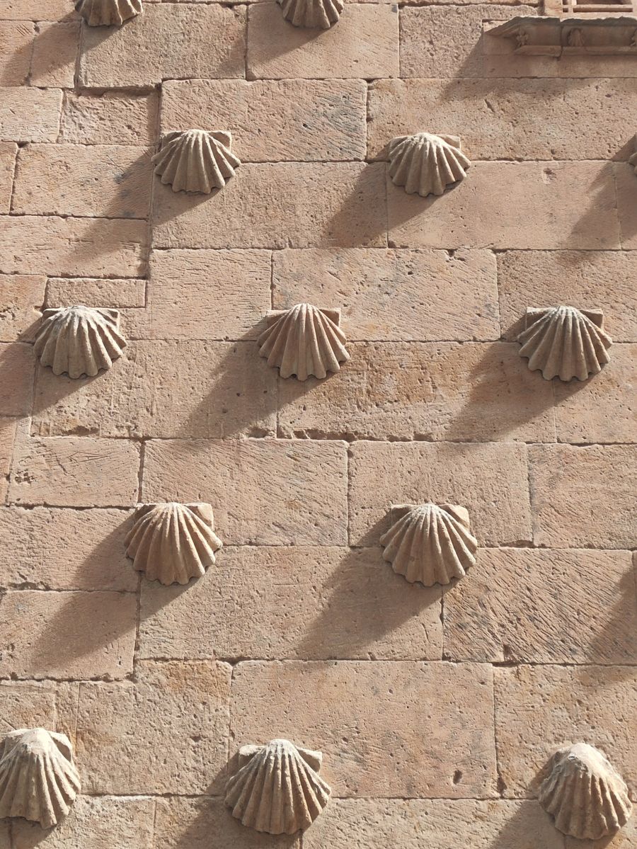 Casa de las Conchas palace facade decorated with carved scallop shells